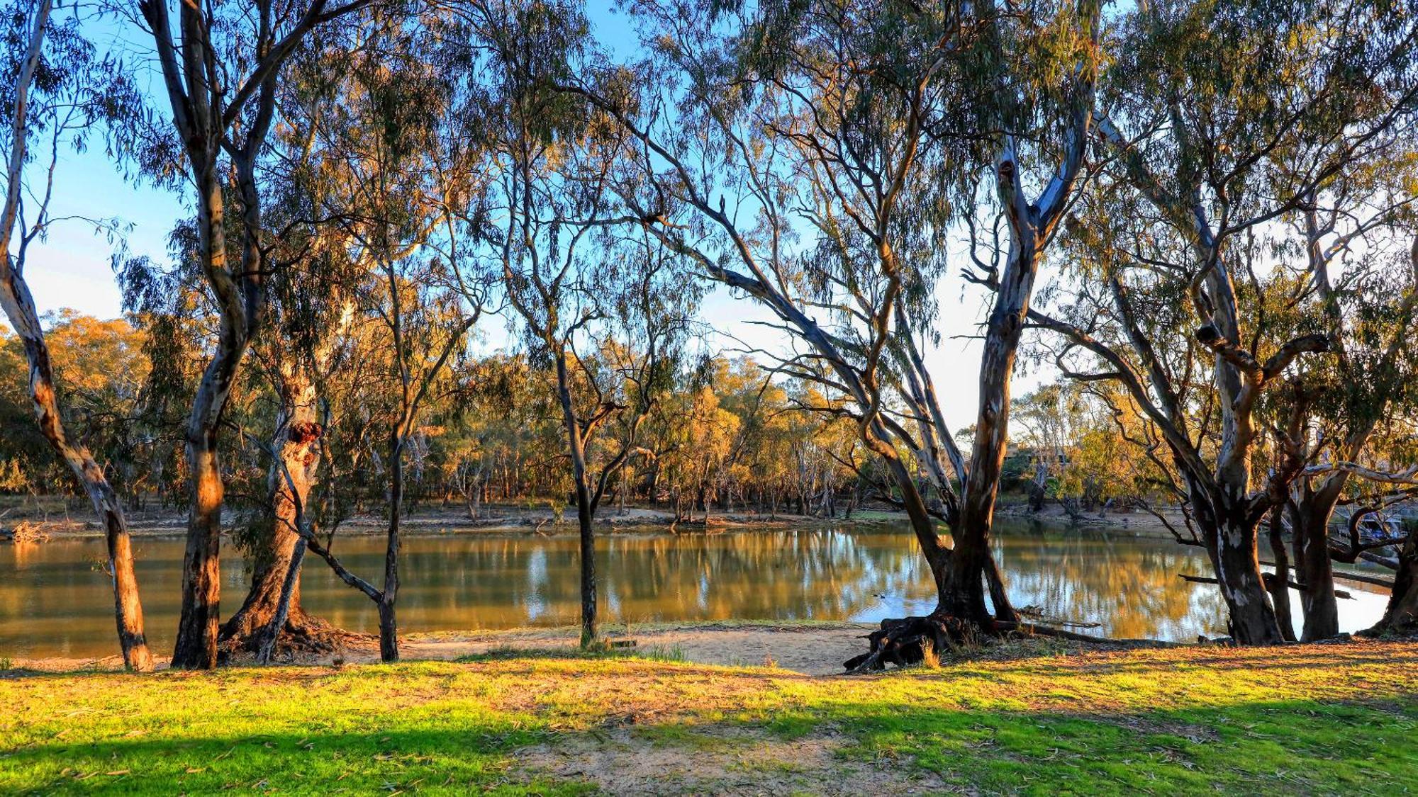Deniliquin Riverside Caravan Park Экстерьер фото