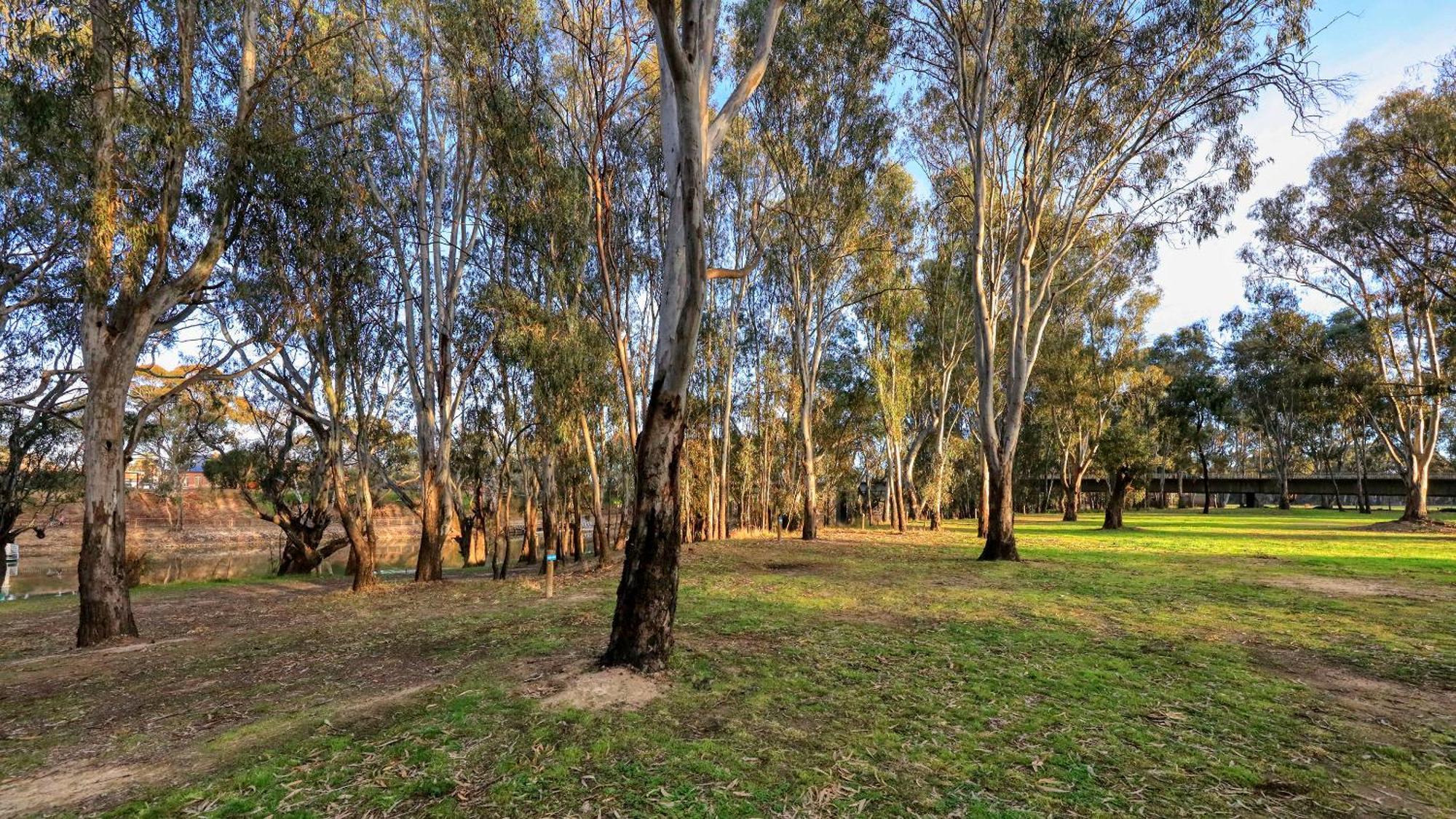 Deniliquin Riverside Caravan Park Экстерьер фото